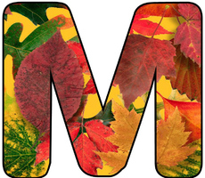 Herbstbuchstabe-5-M.jpg